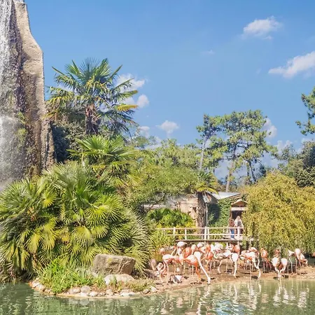 Amazing In Saint-georges-de-didon